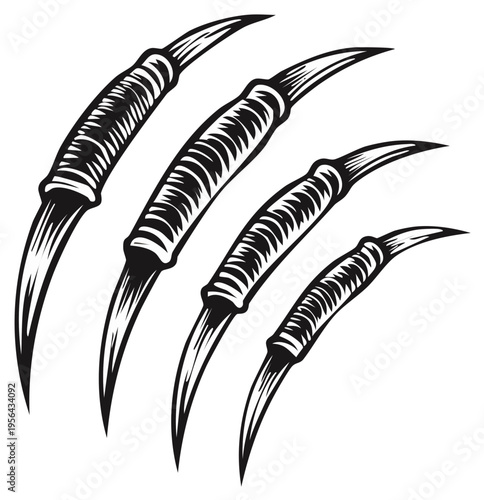 Sharp Claws Leaving Scratches on an Invisible Surface, Ferocious Animal Attack Symbol