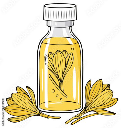 Golden saffron essential oil in a glass bottle with crocus flowers illustration