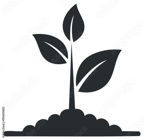 Plant seedling grows from soil, symbolizing new life, growth, and development.