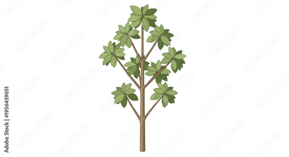 Fototapeta premium green tree isolated on white background