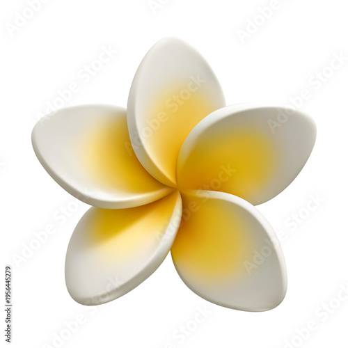 3d frangipani tropical plumeria flower vector illustration