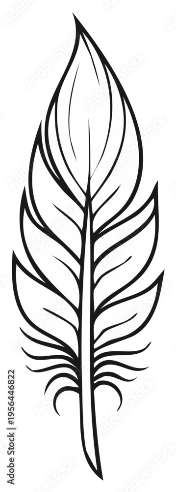 Obraz premium Detailed Black and White Feather Line Art Illustration Elegant Design