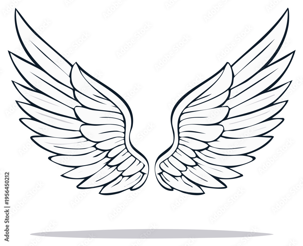 Fototapeta premium Detailed outline of angel wings in monochrome illustration, spread and isolated.