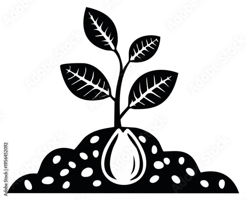 Black and white illustration of a sprouting plant growing from the soil with water droplet