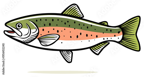 Vibrant Stylized Rainbow Trout Fish Illustration for Aquatic Design