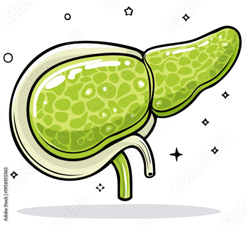 Vibrant green stylized cartoon illustration of a healthy human pancreas organ