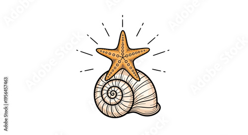 Starfish on Seashell: Coastal Illustration with Radiating Lines