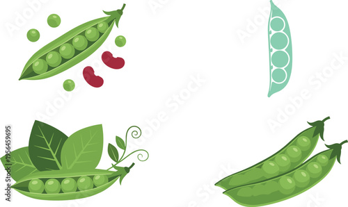 Cute JunGreen Pea Pod Vector Set with Fresh Garden Legumes, Leaves, and Seeds in Cute Botanical Illustration Stylegle Animal Character Set with Lion