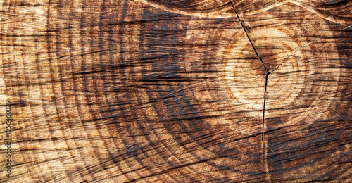 background of natural wood cross section with organic annual rings and dark weathered cracks for rustic timber design