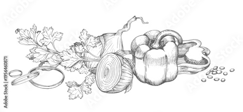 Banner of the bell pepper, onion and parsley. Vector ink styled handmade illustration. For packaging design, cards, cover, prints, product labels and fabric.
