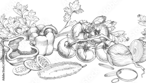 Semless border of the bell pepper, tomatoes, cucumber, onion and parsley. Vector ink styled handmade illustration. For packaging design, cards, cover, prints, product labels and fabric.