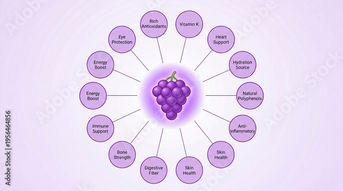 Purple Grape Health Benefits Infographic with 14 Labeled Circles on a Light Purple Background