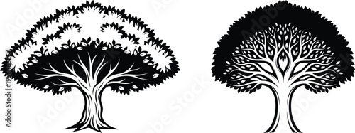 Black and white vector illustration of two decorative symmetrical trees with intricate branches, foliage patterns, artistic design, and symbolic nature