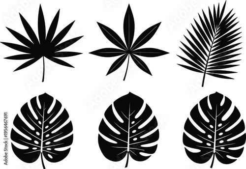 Tropical leaf silhouette vector set including palm monstera and cannabis style leaves botanical nature illustration isolated black plant collection design