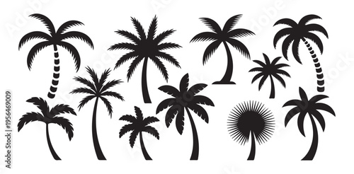 Collection of stylized black palm trees silhouettes on white background