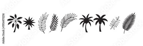 Assortment of tropical palm tree silhouettes and various styles of detailed linear palm fronds