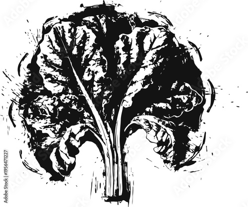 detailed black and white illustration of fresh lettuce leaf with textured shading and natural veins
