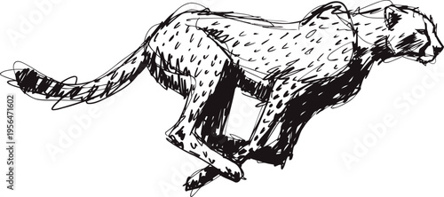 Running cheetah illustration with detailed ink sketch and dynamic posture