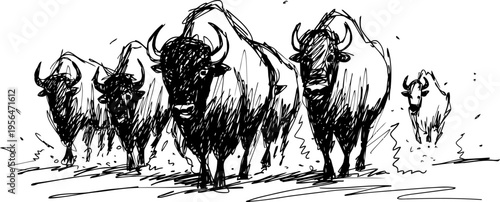 wild bison herd running forward, powerful american buffalo stampede in black and white sketch