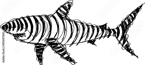 shark illustration with black and white stripes, marine predator sketch, ocean wildlife drawing