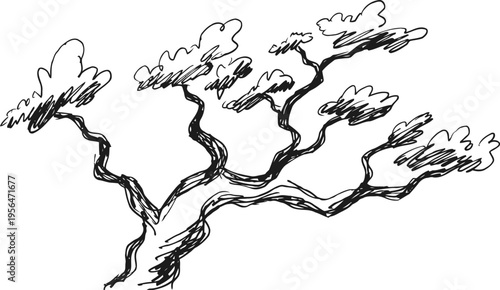 abstract hand drawn tree branches with sparse leaves in black ink sketch