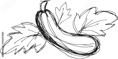 Hand drawn sketch of a cucumber with leaves, simple vegetable outline illustration in black and white