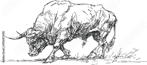 Aggressive bull standing low with head down ready to charge hand drawn ink sketch of powerful animal in motion