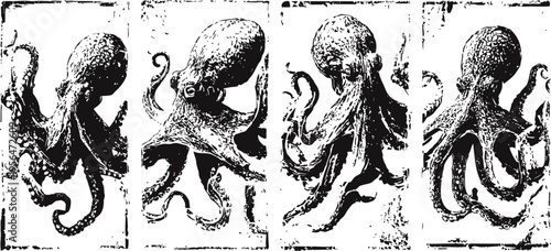 vintage octopus illustrations set monochrome detailed marine life collection drawing