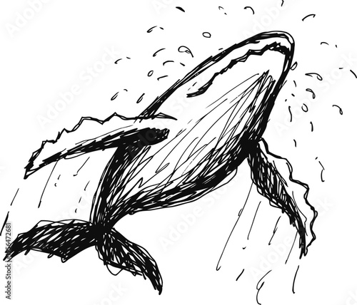 humpback whale breaching, sketch black ink drawing, ocean wildlife, marine mammal in motion