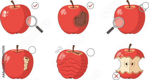 Apple quality inspection set showing fresh rotten worm damaged and eaten fruit conditions with magnifying glass vector illustration