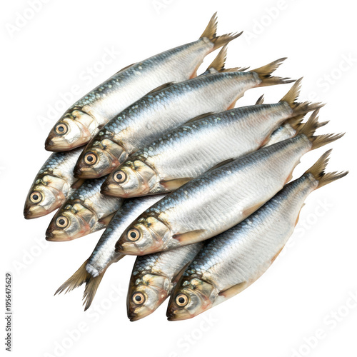 Pile of fresh sardines isolated on transparent background