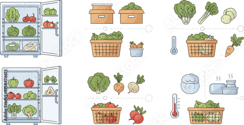 Vegetable storage methods set with refrigerator boxes baskets fresh produce preservation guide food vector illustration design