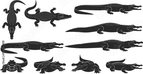 Crocodile Silhouette Collection with Top View, Side Profiles, Aggressive Reptile Poses, Swamp Predator Shapes, and Black Wildlife Vector Illustrations