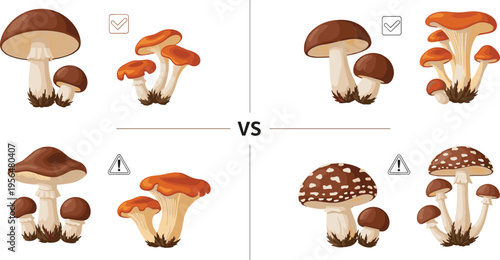 Edible and poisonous mushrooms comparison set safe vs toxic fungi identification guide with warning symbols vector illustration design