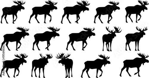 Moose silhouette icon set, black wild deer animals collection in various walking poses, forest wildlife symbols, nature hunting graphics, clean flat vector illustration isolated