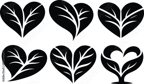 Black and white floral patterns with leaves and petals