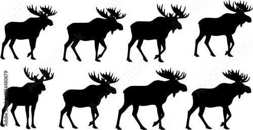 Moose silhouette icon set, black wild deer animals collection in various walking poses, forest wildlife symbols, nature hunting graphics, clean flat vector illustration isolated