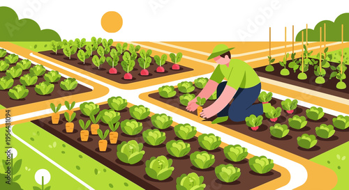 Illustration of a farmer working in the vegetable garden with fresh crops, under sunlight,