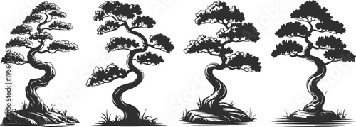 Black bonsai tree silhouette collection featuring Japanese zen garden style, miniature curved trunk trees, rocky landscape elements, and nature oriental designs