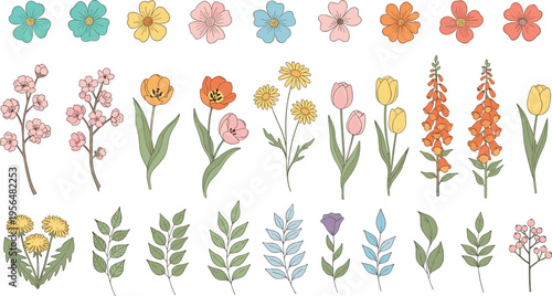 Wildflower vector set. Hand drawn spring flowers and leaves collection. Botanical floral elements with branches, herbs and blossoms isolated illustration.