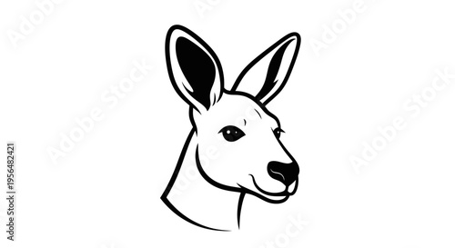 white rabbit on white background