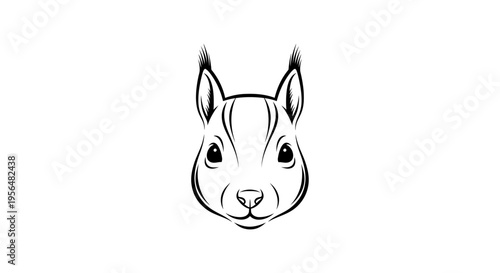 Detailed black and white line art illustration of a squirrel's head facing forward.