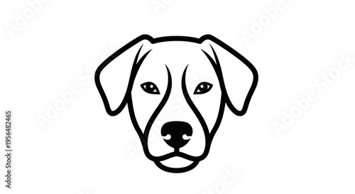 golden retriever portrait