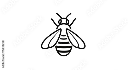 A simple black and white line art illustration of a bee with striped body and wings.