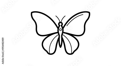 Black and white outline drawing of a butterfly with detailed wings and antennae.