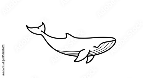 Simple black and white line art illustration of a whale swimming, depicted in a minimalist cartoon style.