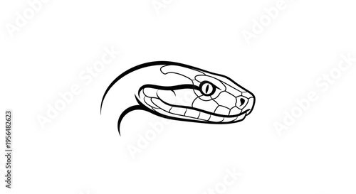 Black and white line art illustration of a snake's head in profile, showing its eye and scales.