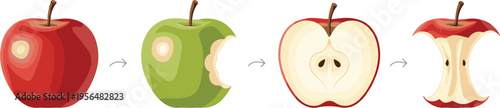 Apple eating stages from whole fruit to core sequence fresh healthy food process vector illustration