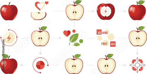 Apple nutrition infographic with vitamins fiber and health benefits fresh fruit process vector illustration set