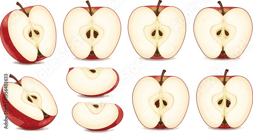 Apple slices collection with different cut views halves wedges and fresh fruit pieces vector illustration set